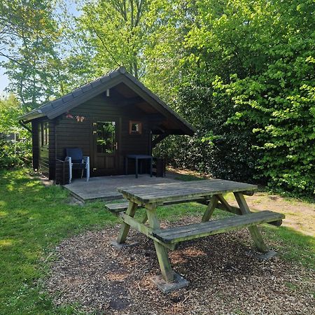 Camping Alkenhaer Appelscha Blokhut Basic Extérieur photo